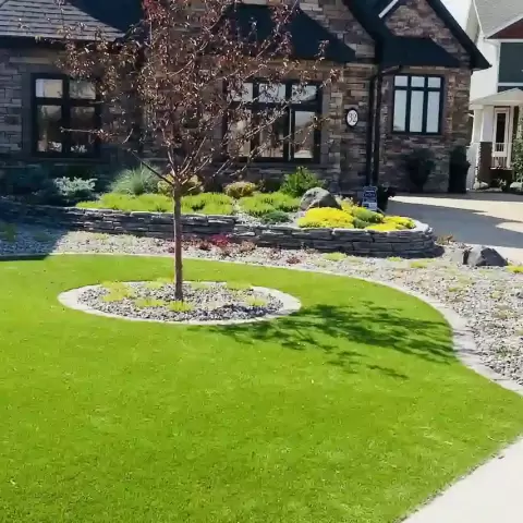 Transforming Your Outdoor Space with Eco-Friendly Landscape Design